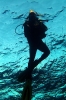 Divers_29