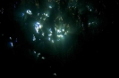 Underwater Scenes_42