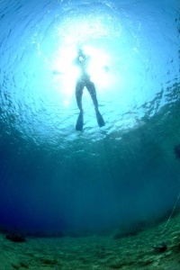 Underwater Scenes_34