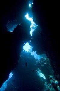 Underwater Scenes_38